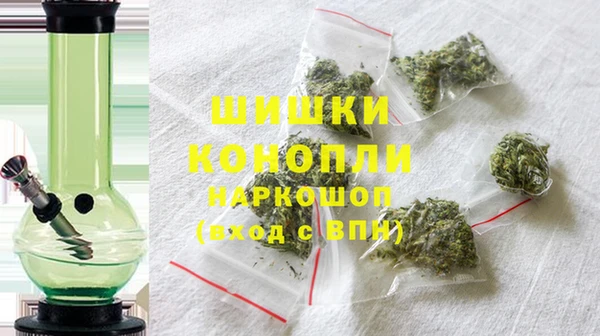 гидра Михайловск
