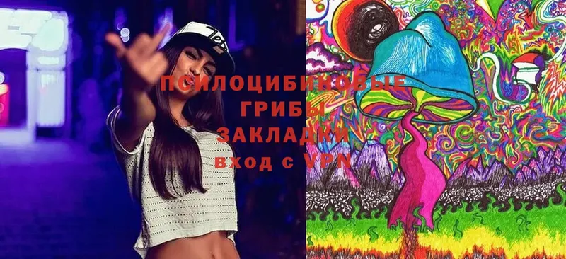 Галлюциногенные грибы Magic Shrooms  Мышкин 