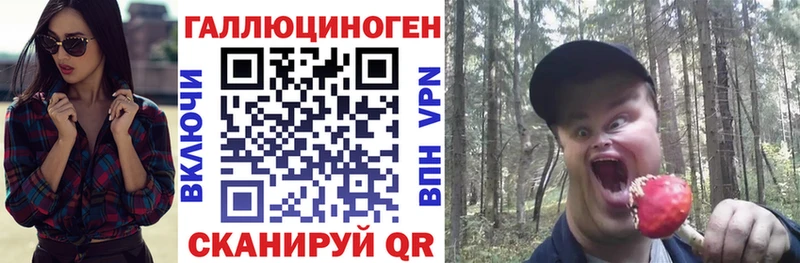 наркотики  Мышкин  Галлюциногенные грибы GOLDEN TEACHER 